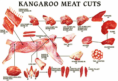 http://paddyk.files.wordpress.com/2008/08/kangaroo-meat.jpg